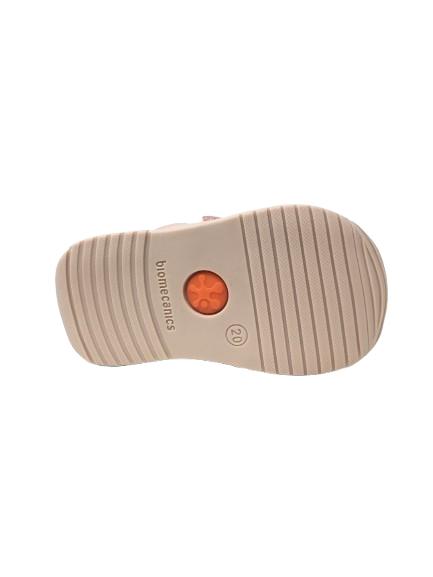 BOTIN BIOMECANICS ROSA