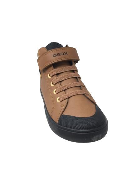 BOTIN CASUAL GEOX MARRON
